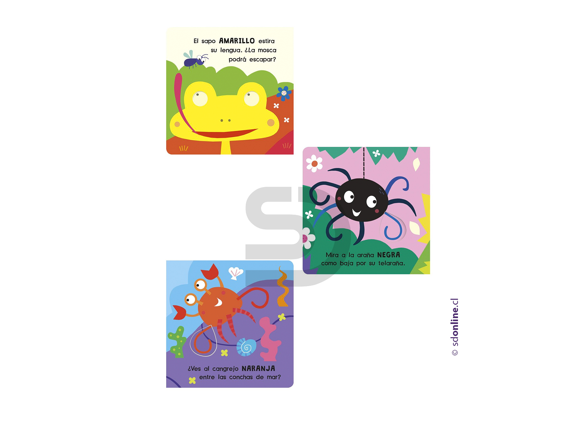 Mira y descubre colores 2