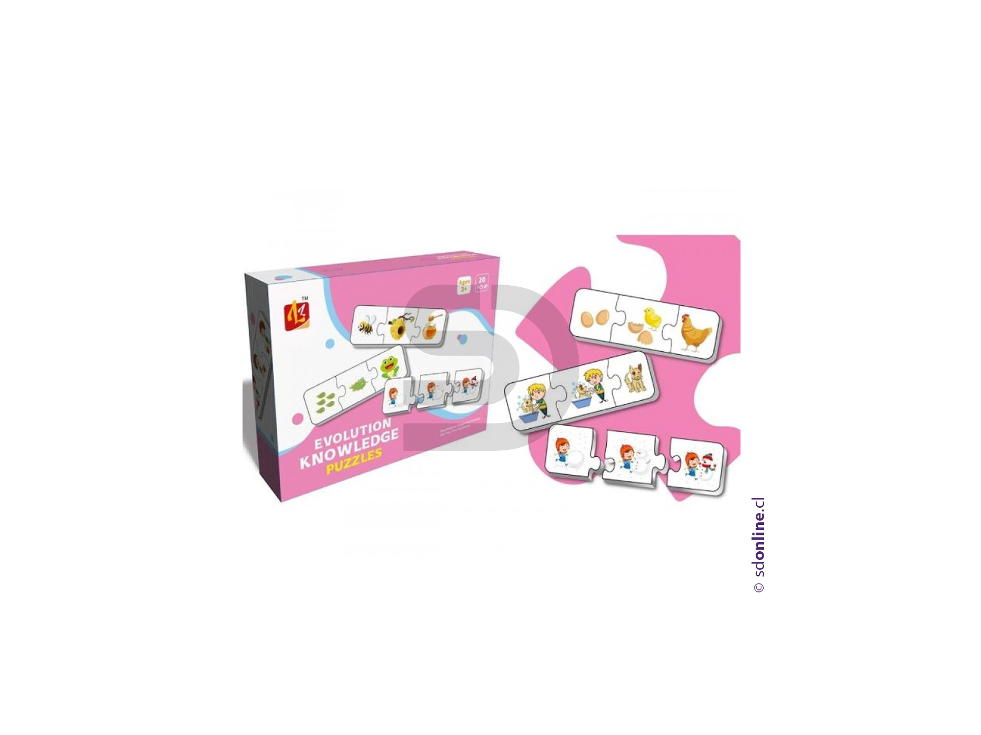 Puzzle Asocia Las Secuencias 1