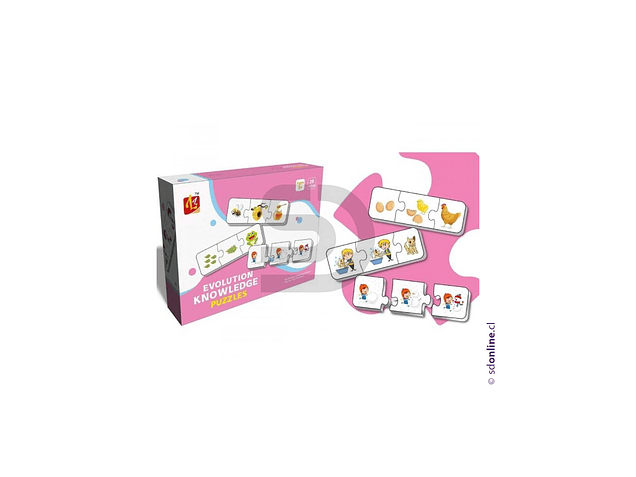 Puzzle Asocia Las Secuencias 1