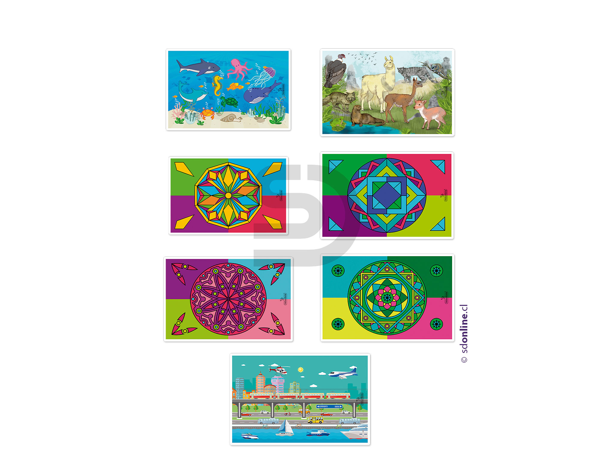 Puzzle -  pack 40 uds. 2