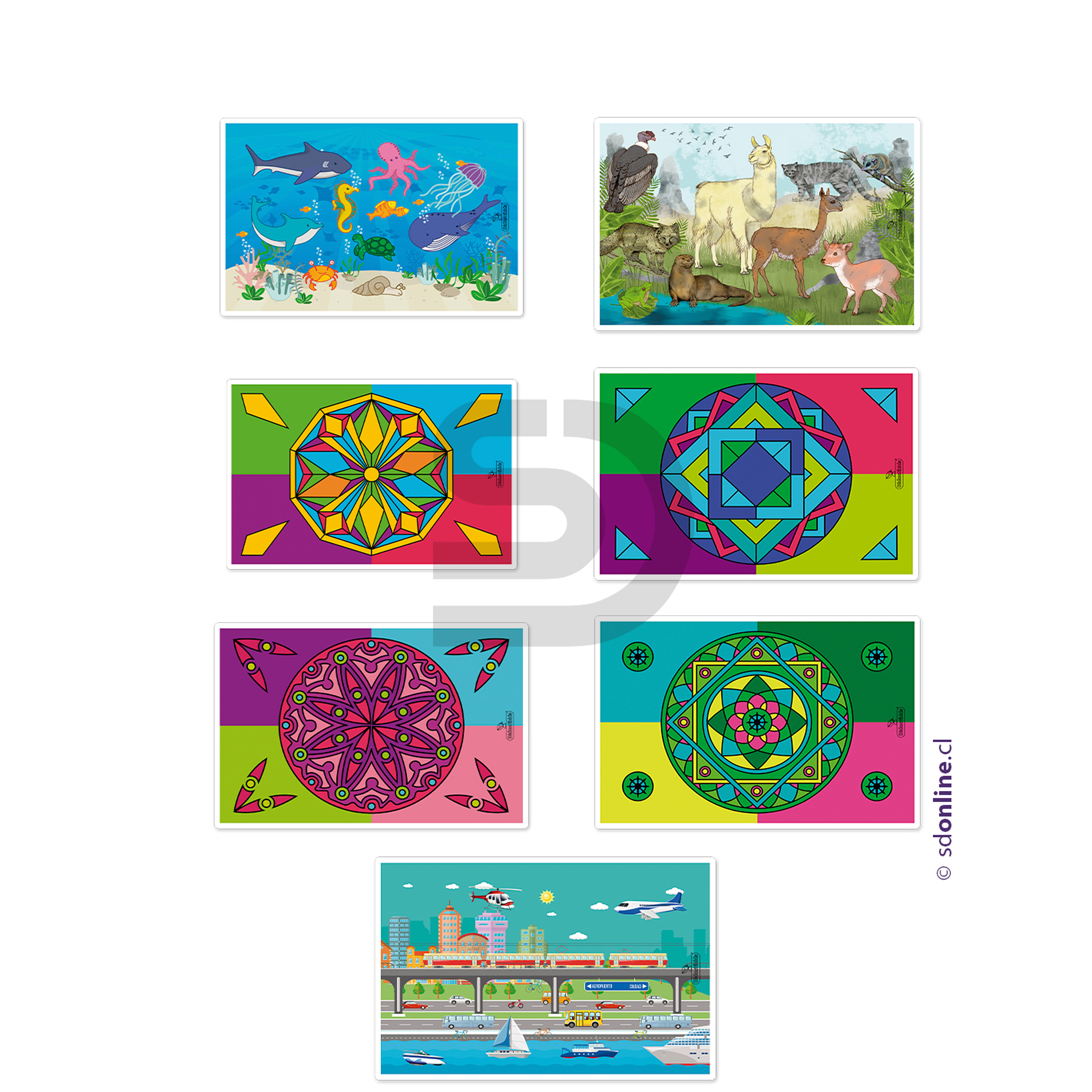 Puzzle -  pack 40 uds. 2