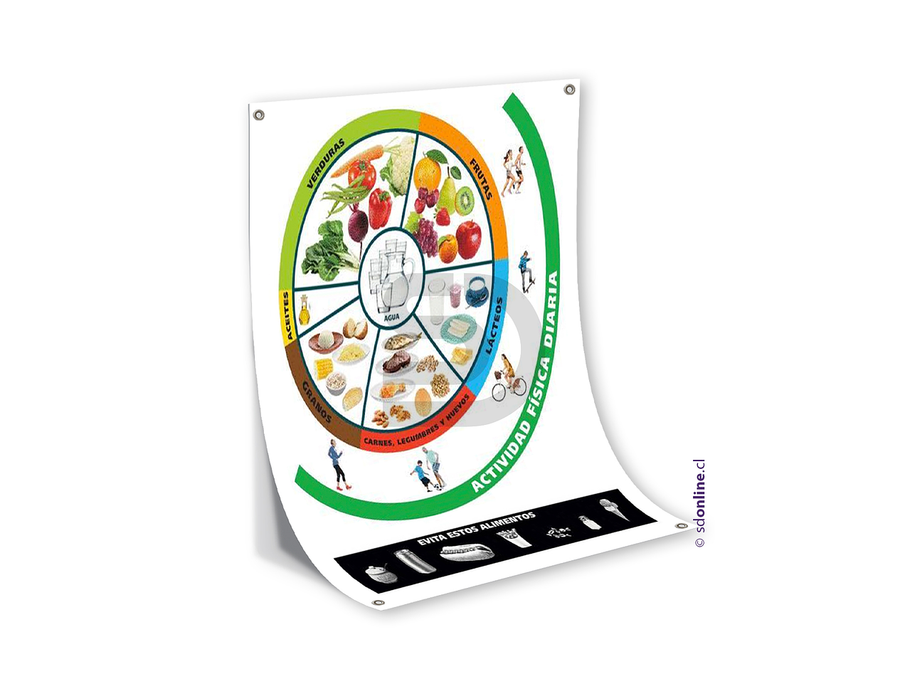 Panel guía de alimentación sana 1