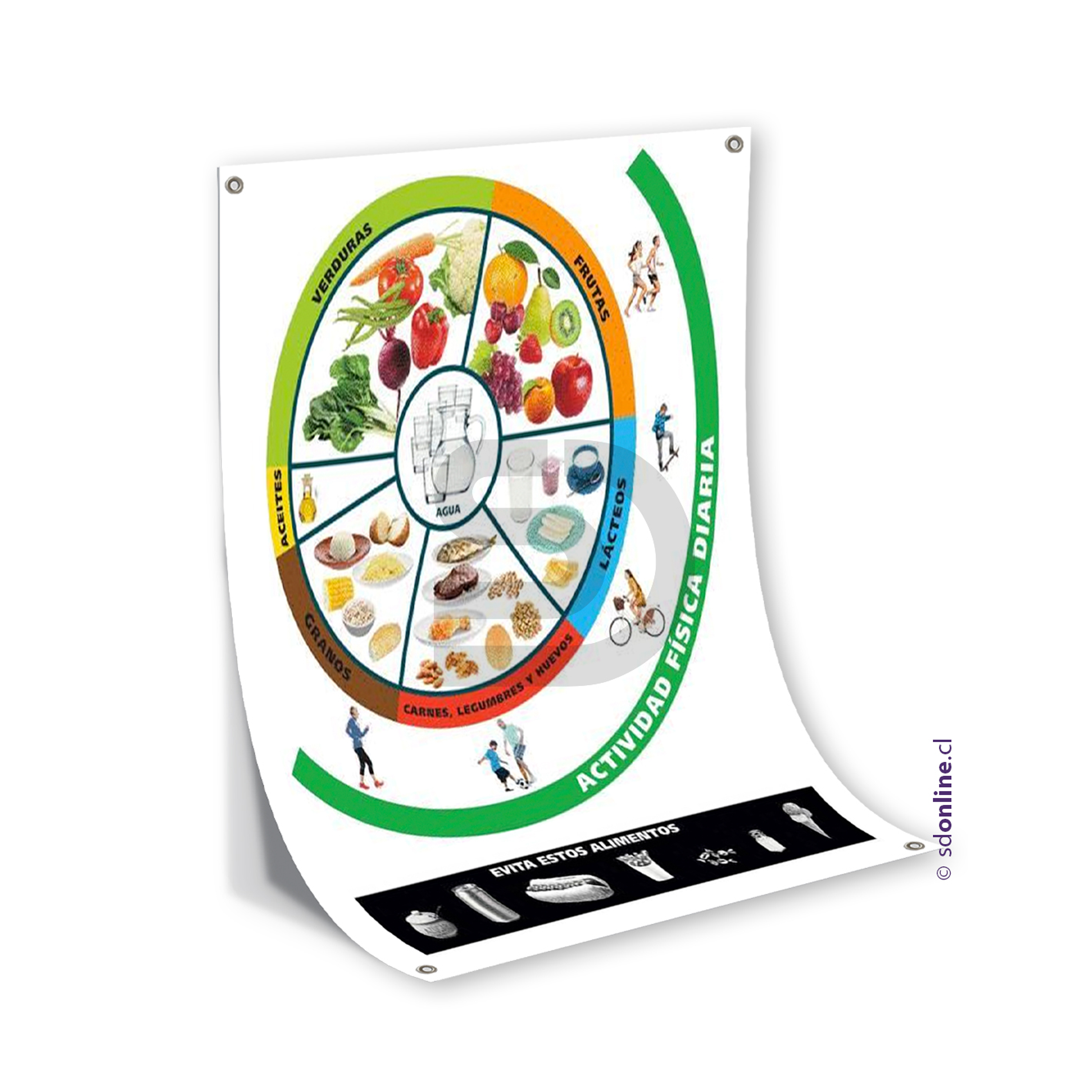 Panel guía de alimentación sana 1