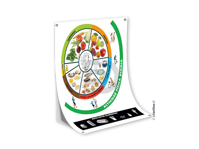 Panel guía de alimentación sana 1