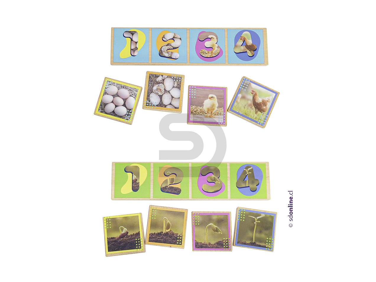 Secuencias madera ciclos de la vida 20 pzas. 2