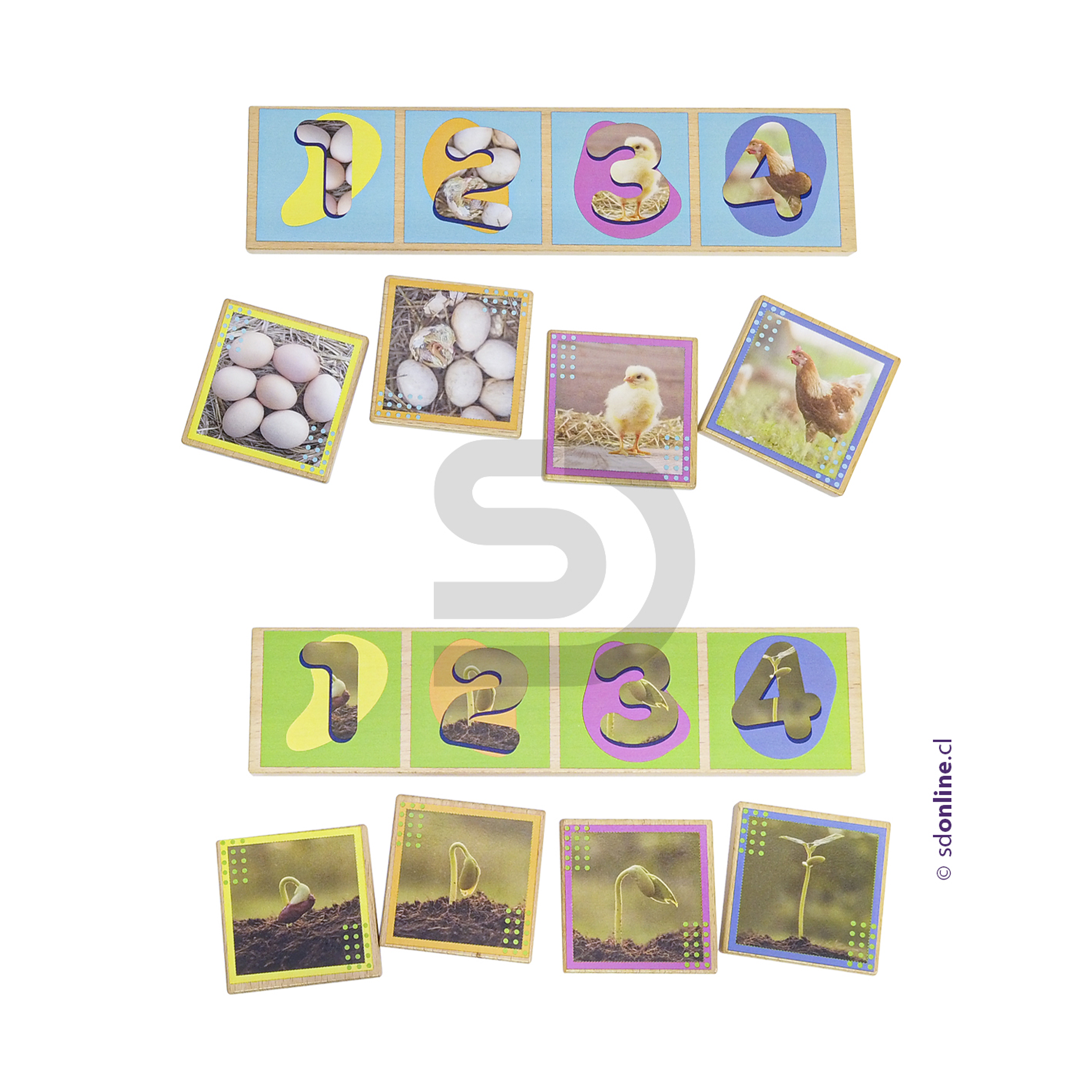 Secuencias madera ciclos de la vida 20 pzas. 2