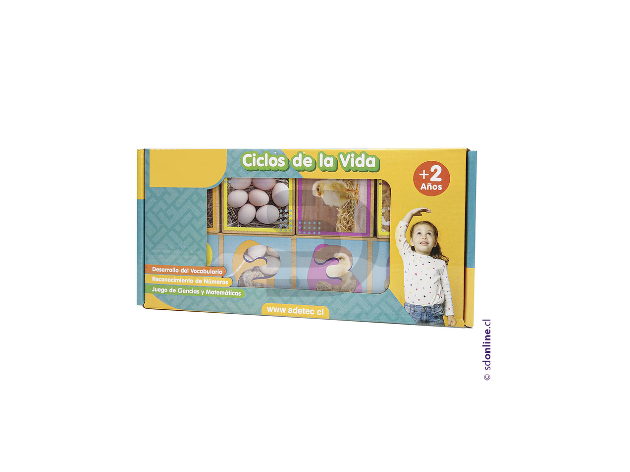 Secuencias madera ciclos de la vida 20 pzas. 1