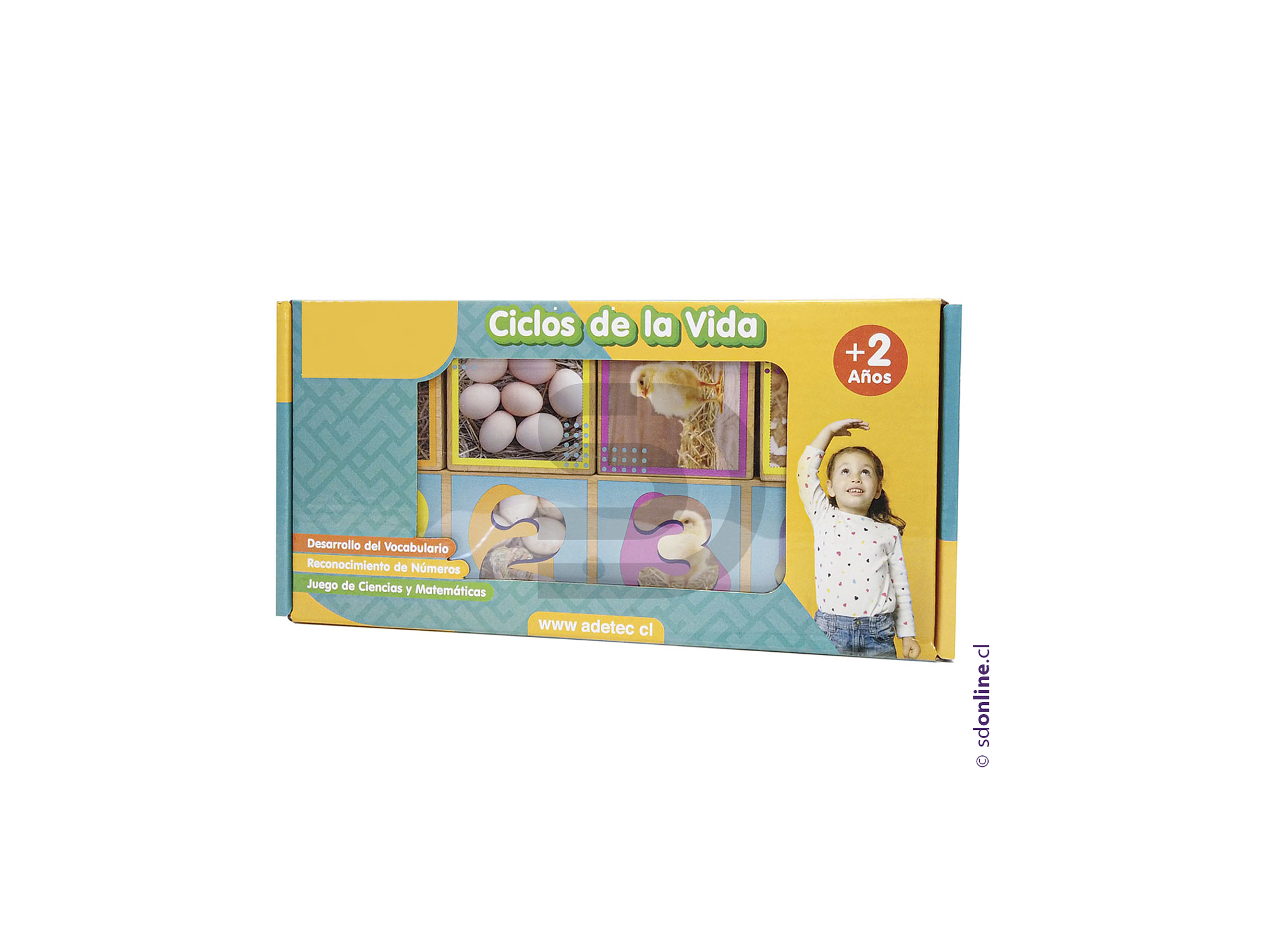 Secuencias madera ciclos de la vida 20 pzas. 1