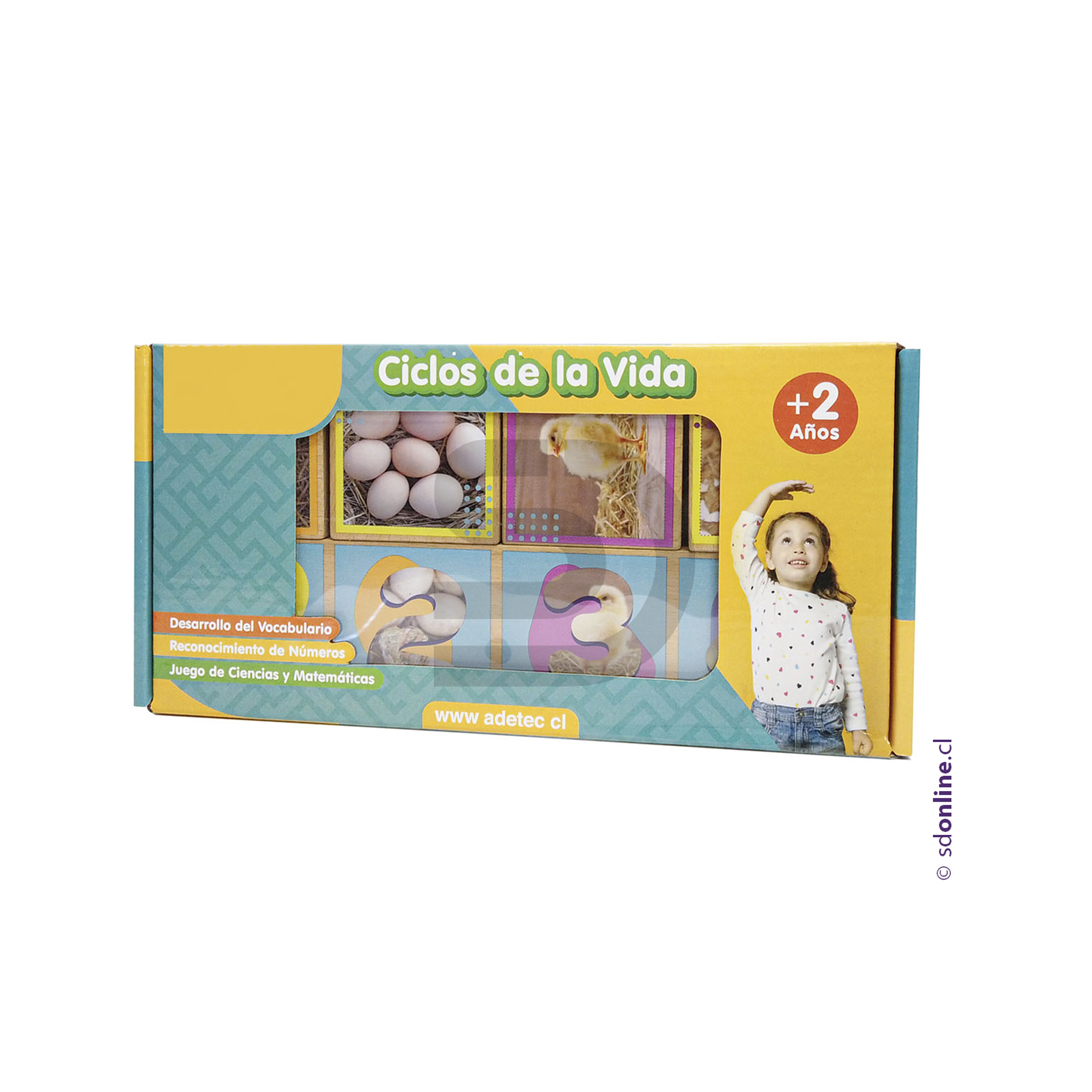 Secuencias madera ciclos de la vida 20 pzas. 1