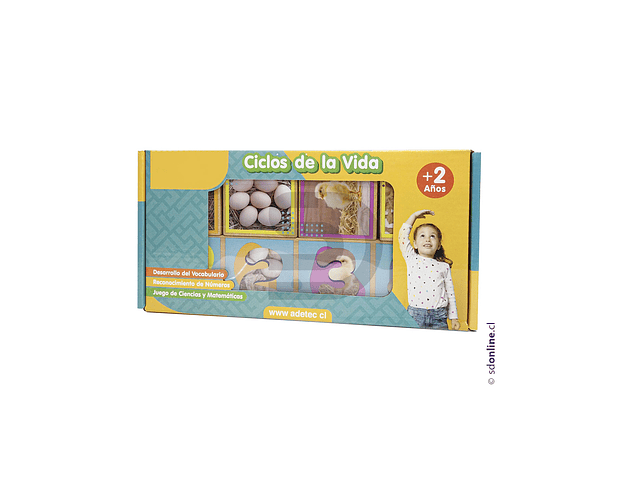 Secuencias madera ciclos de la vida 20 pzas. 1