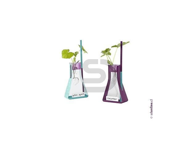 Kit observo el crecimiento de las plantas 2