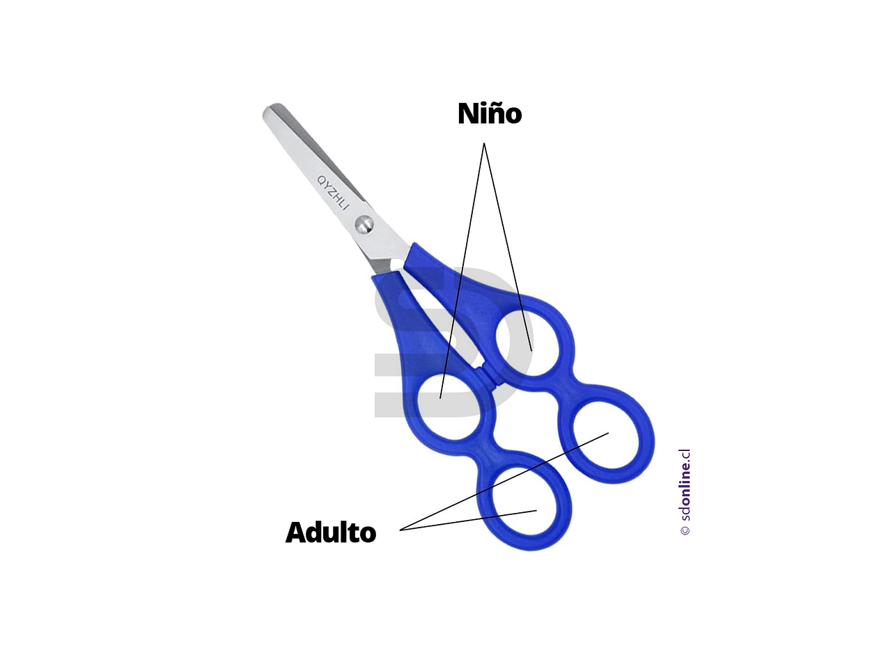 Set tijeras doble control 2