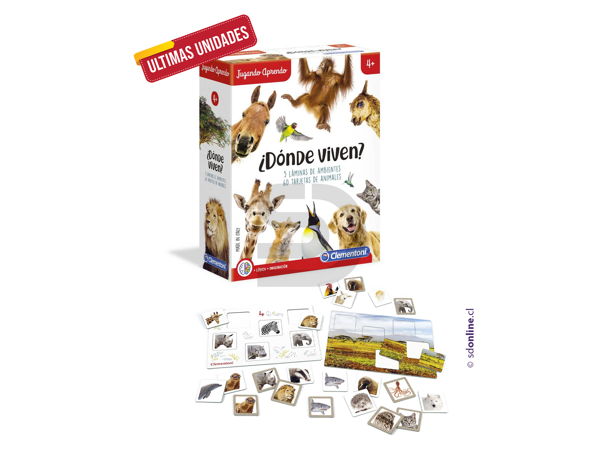 Interactivo donde viven 1