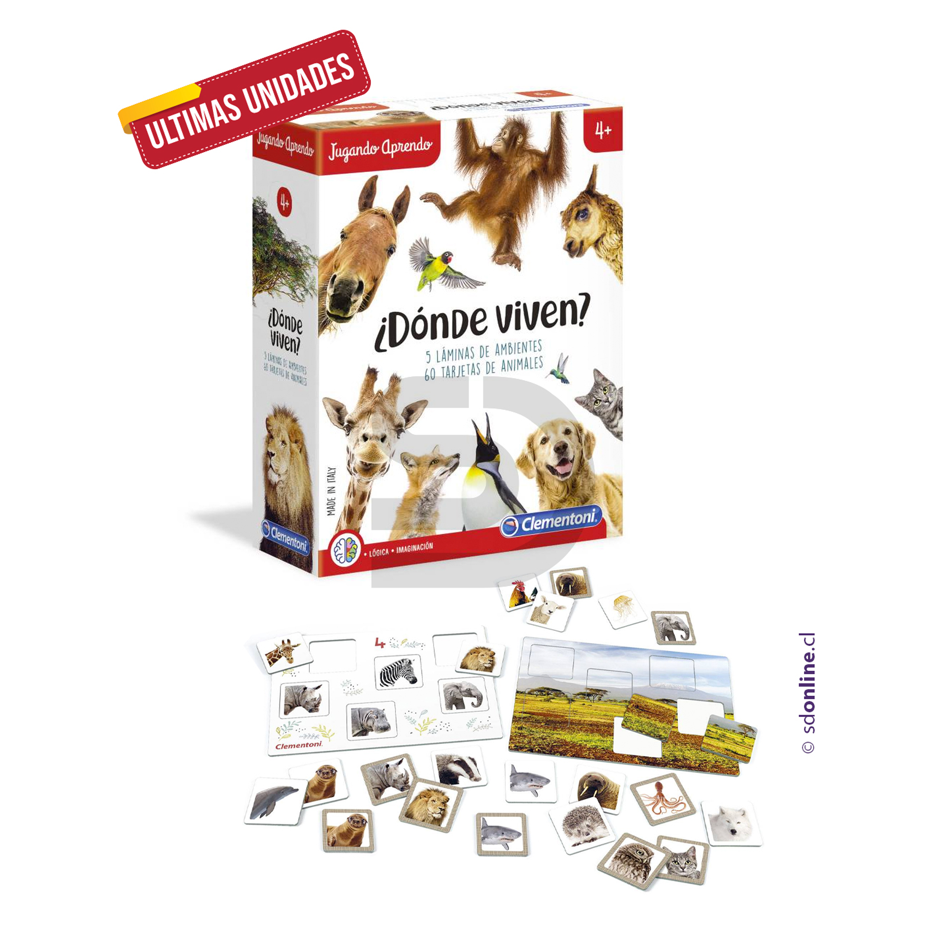 Interactivo donde viven 1