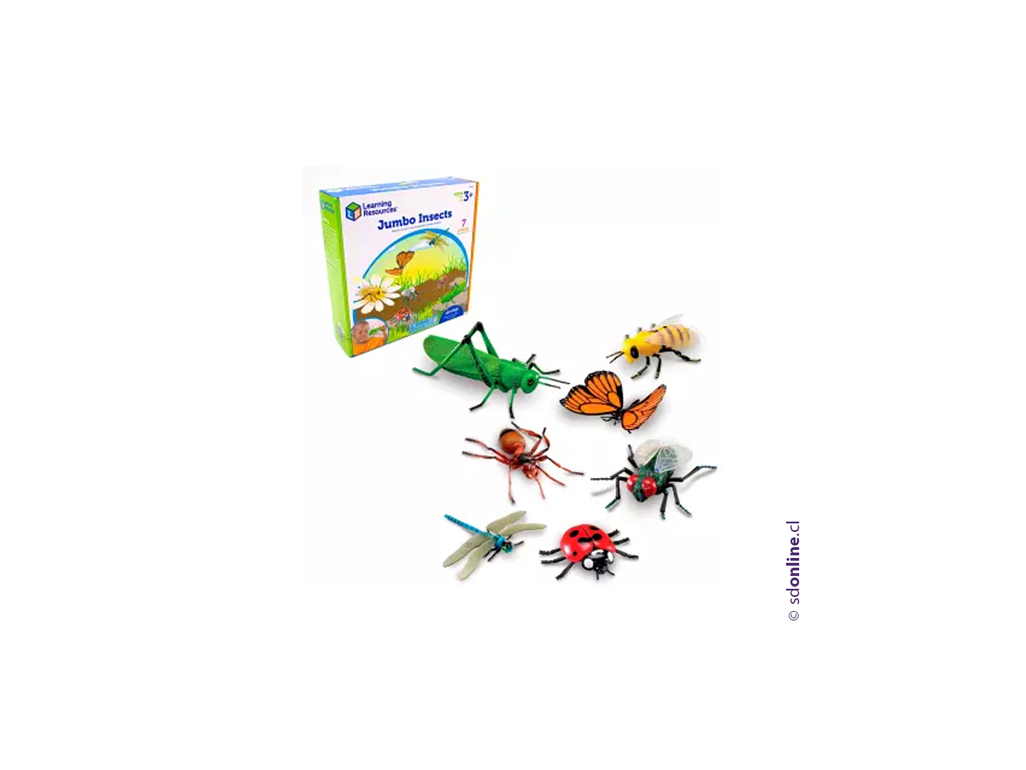 Set 7 insectos realistas jumbo  1