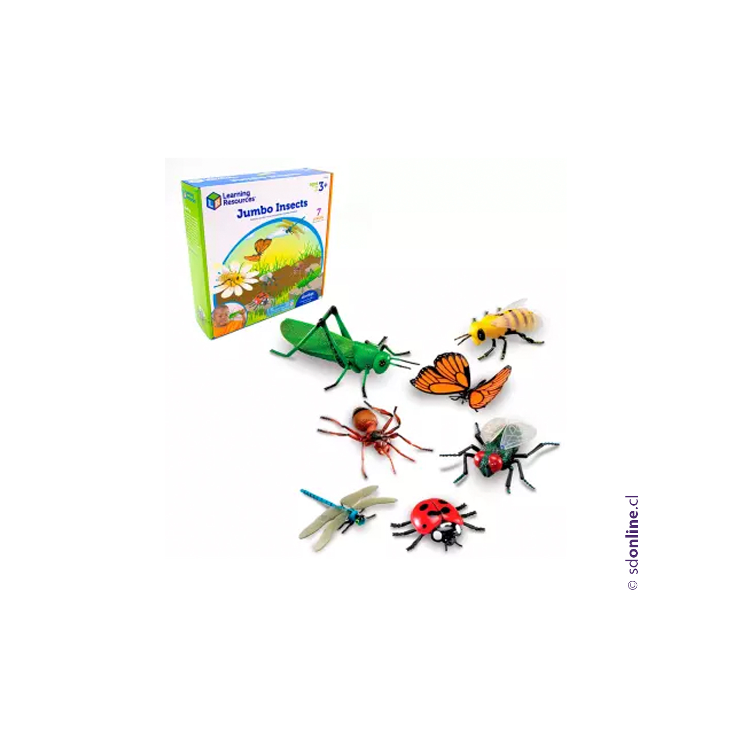Set 7 insectos realistas jumbo  1