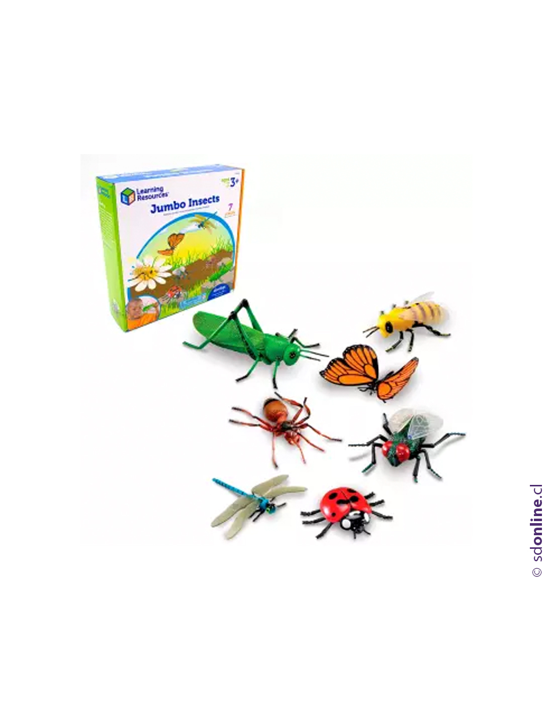 Set 7 insectos realistas jumbo
