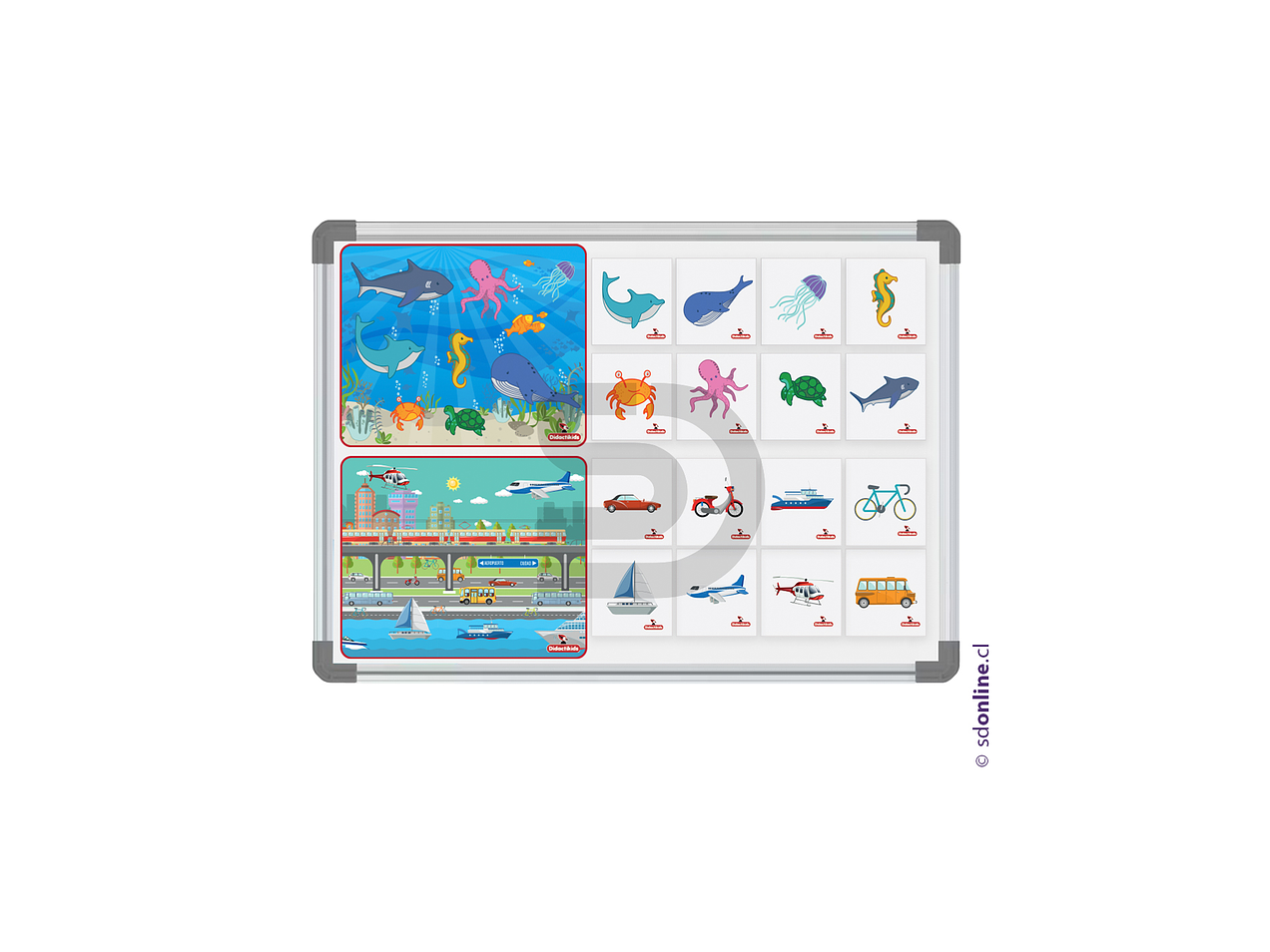 Clasificación magnético animales marinos y medios de transporte  2