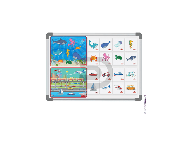 Clasificación magnético animales marinos y medios de transporte  2