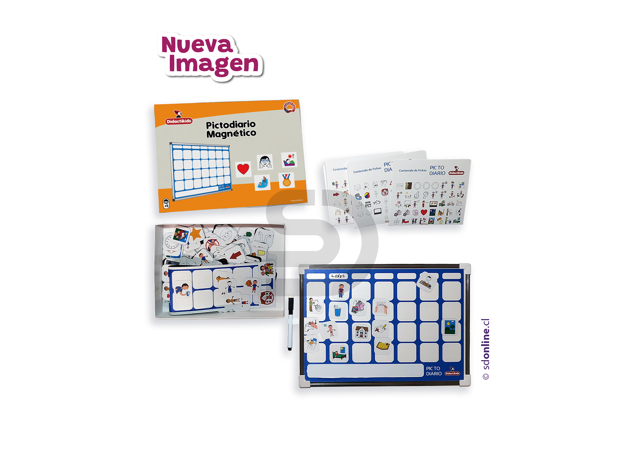 Picto diario magnético fundamental 2