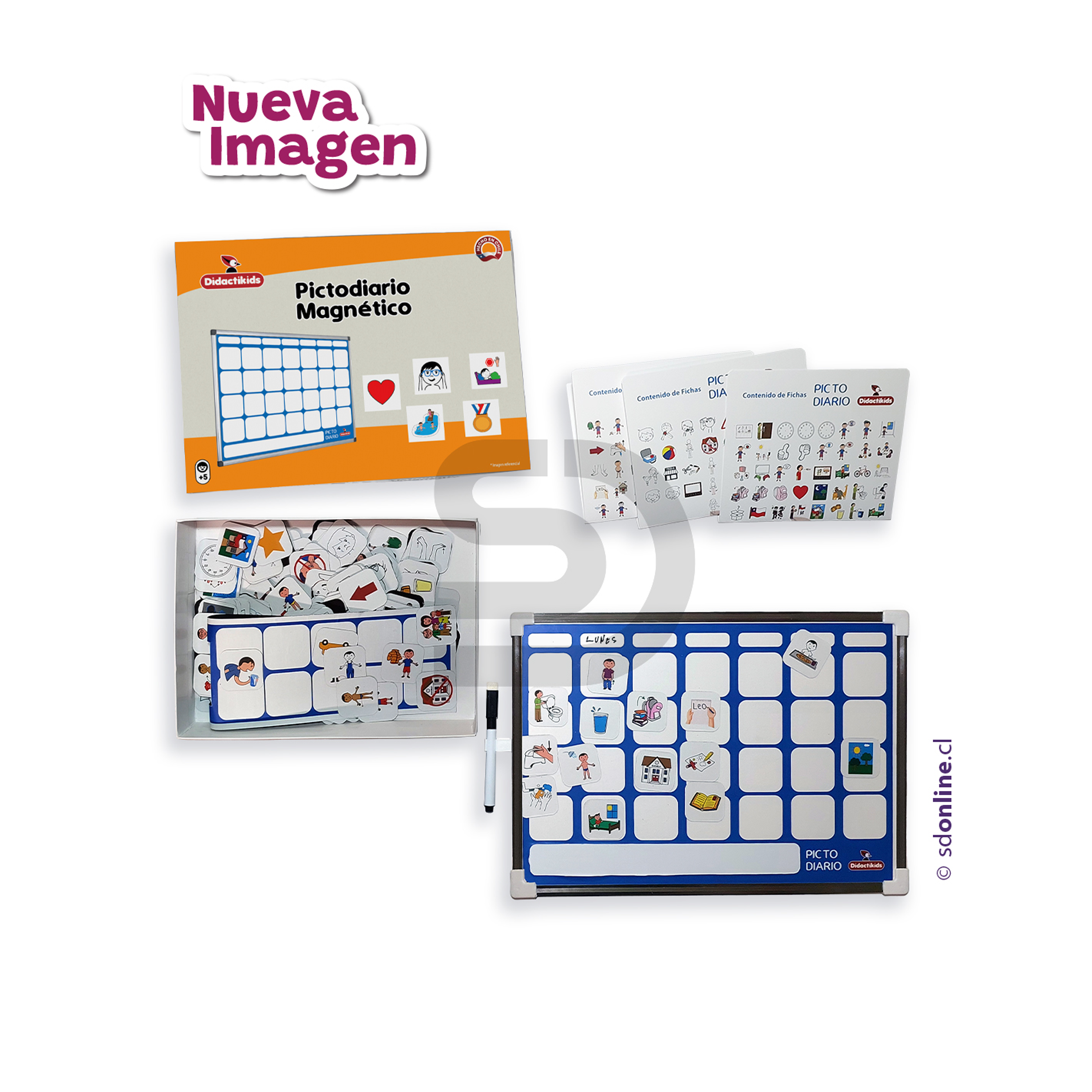 Picto diario magnético fundamental 2