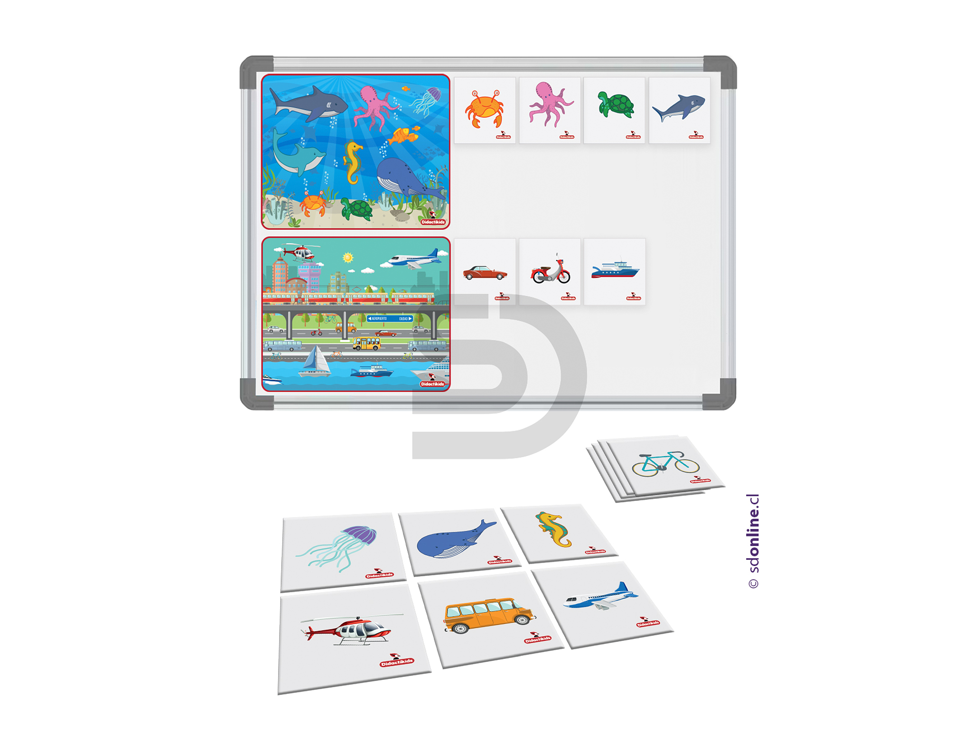 Clasificación magnético animales marinos y medios de transporte  1