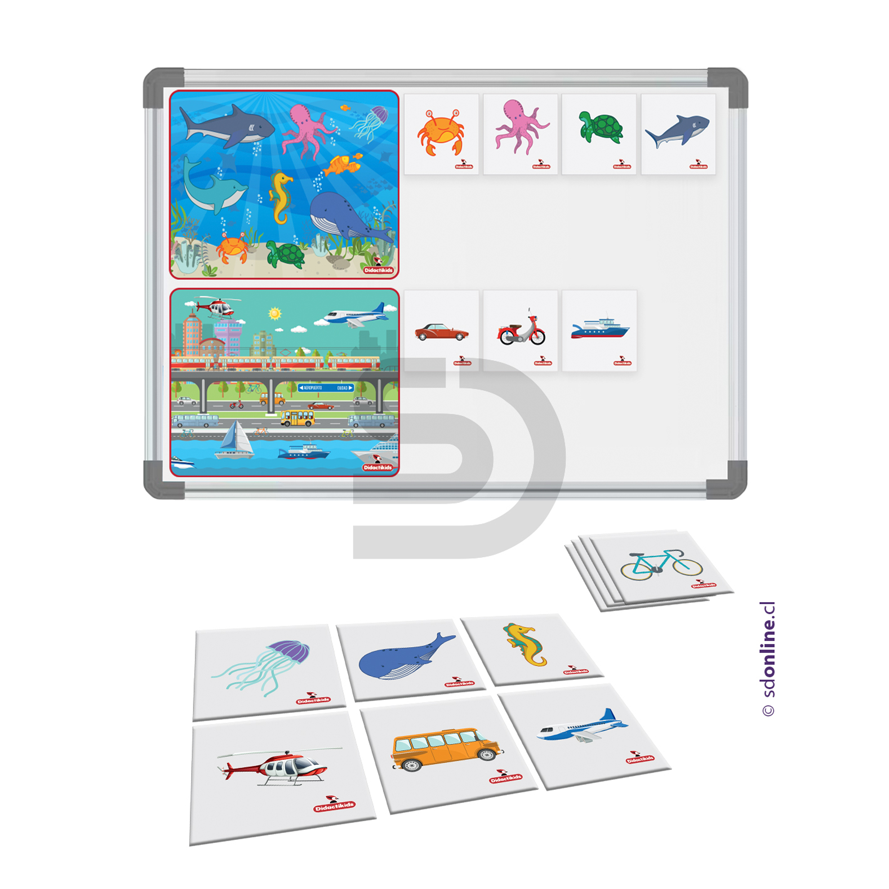Clasificación magnético animales marinos y medios de transporte  1
