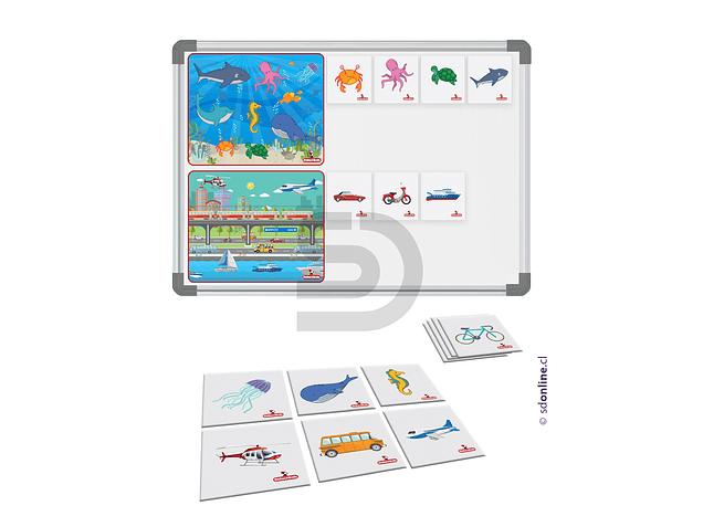 Clasificación magnético animales marinos y medios de transporte  1