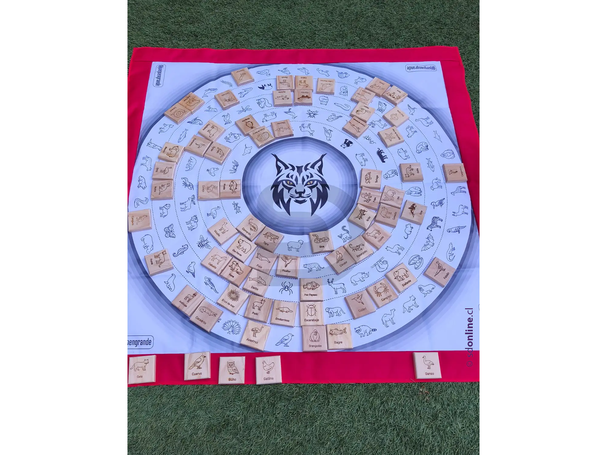 Ojo de Lince gigante 2
