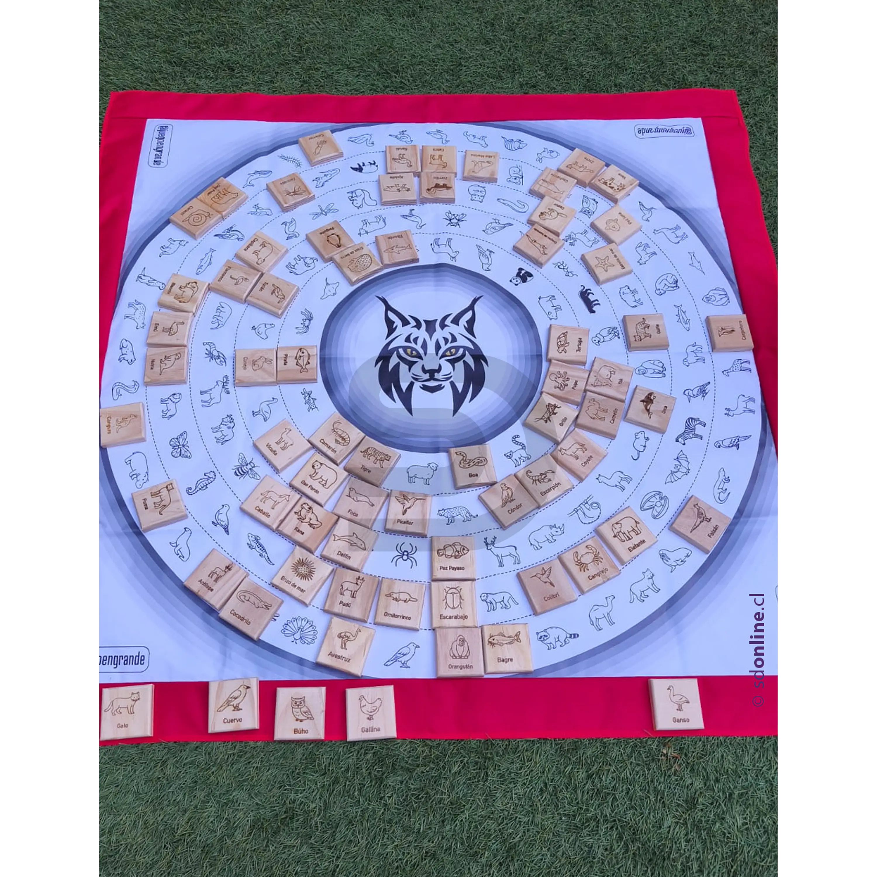 Ojo de Lince gigante 2