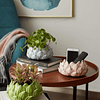 Macetas de plantas suculentas de cerámica, flores, adorno decorativo para interiores, figura, sala de estar, regalos modernos, diseño de 15cm
