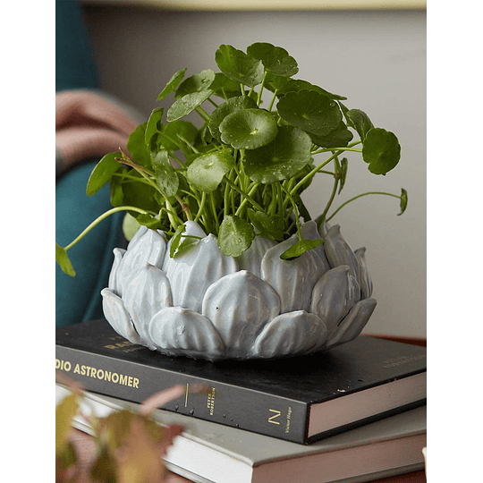 Vasos de plantas suculentas de cerâmica flores interior ornamento decorativo figura sala de estar moderna presentes design 15 cm