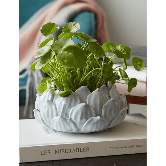 Macetas de plantas suculentas de cerámica, flores, adorno decorativo para interiores, figura, sala de estar, regalos modernos, diseño de 15cm