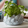 Macetas de plantas suculentas de cerámica, flores, adorno decorativo para interiores, figura, sala de estar, regalos modernos, diseño de 15cm