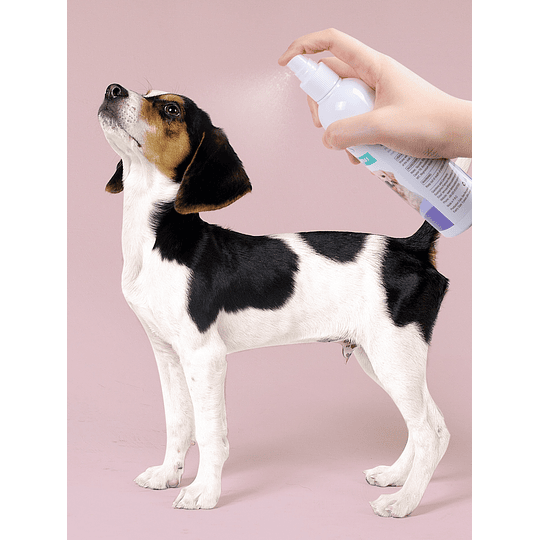 1 peça 237ml spray de limpeza de odor para animais de estimação
