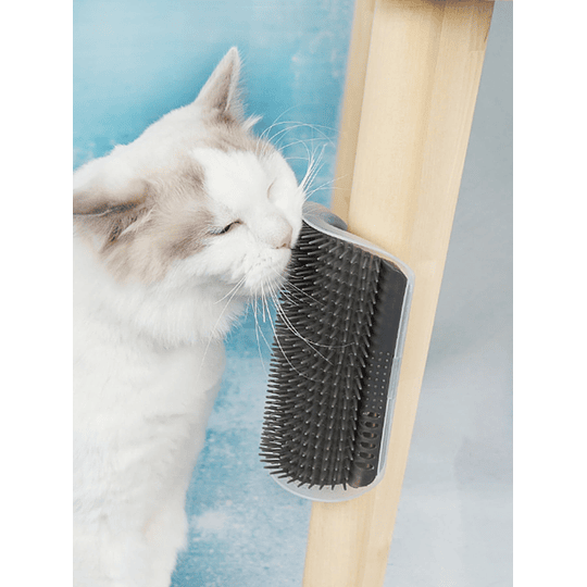 1 pc escova de massagem de canto de gato