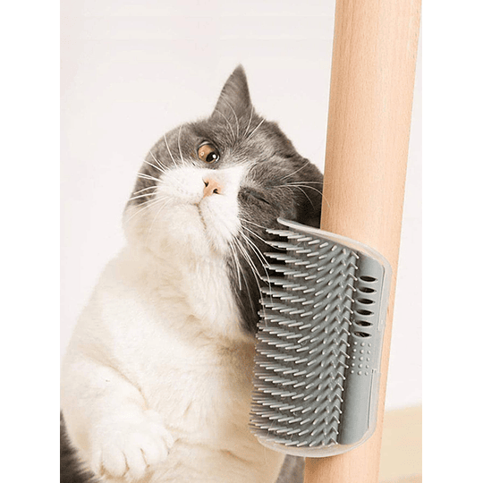 1 pc escova de massagem de canto de gato