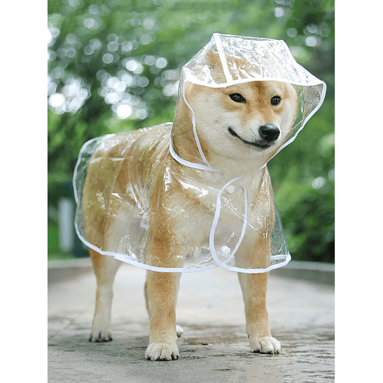 1 x capa de chuva para animais de estimação com capuz transparente