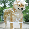 1 x capa de chuva para animais de estimação com capuz transparente