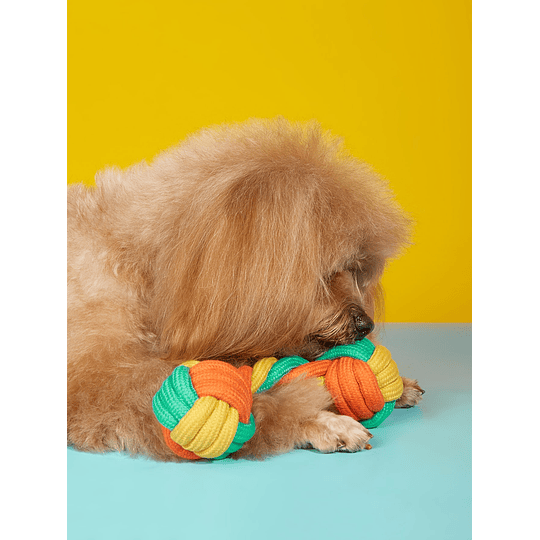 1peça Brinquedo para mastigar para animal bloco de cores aleatória