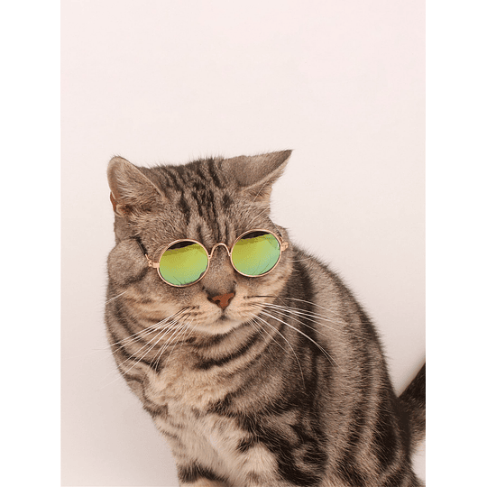 Óculos de sol para animais de estimação de cor aleatória 1 unidade