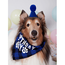 1 conjunto de bandana e chapéu de aniversário para animais de estimação