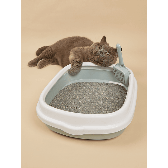 1 caixa de areia para gatos colorblock com pá
