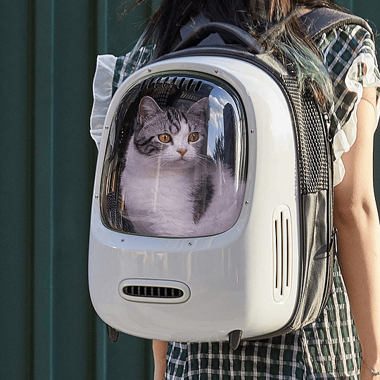 Mochila para gatos, mochila de viagem para cachorros, ventilador embutido e sistema de iluminação, mochila para transporte de animais de estimação bem ventilada, leve e conf...