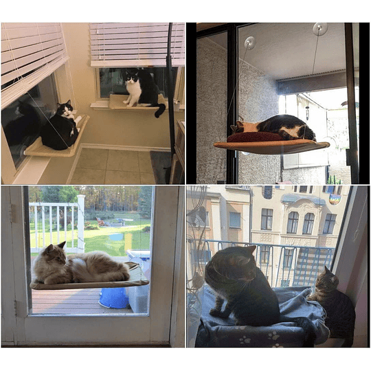 Janela montada rede para gato manta gato, cama pendente animais de estimação ventosas e manta preta para gato perca