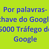 Por palavras-chave do Google 5000 Tráfego do Google  Vamos promover o seu site em 