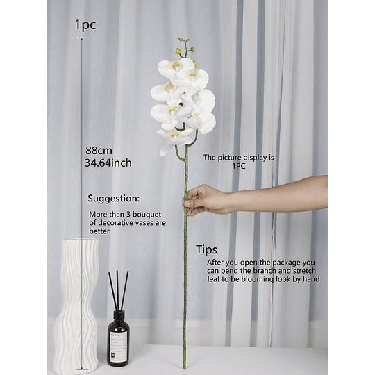 1 peça Phalaenopsis Artificial