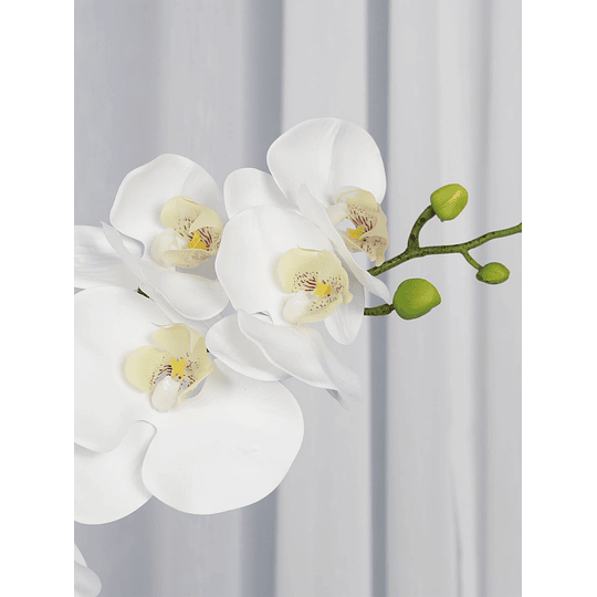 1 peça Phalaenopsis Artificial