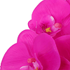 1 peça Phalaenopsis Artificial