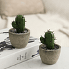 1pc Artificial Potted Cactus